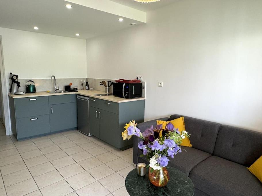 T2 Independant Avec Jardin Apartment Livron-sur-Drôme Exterior foto